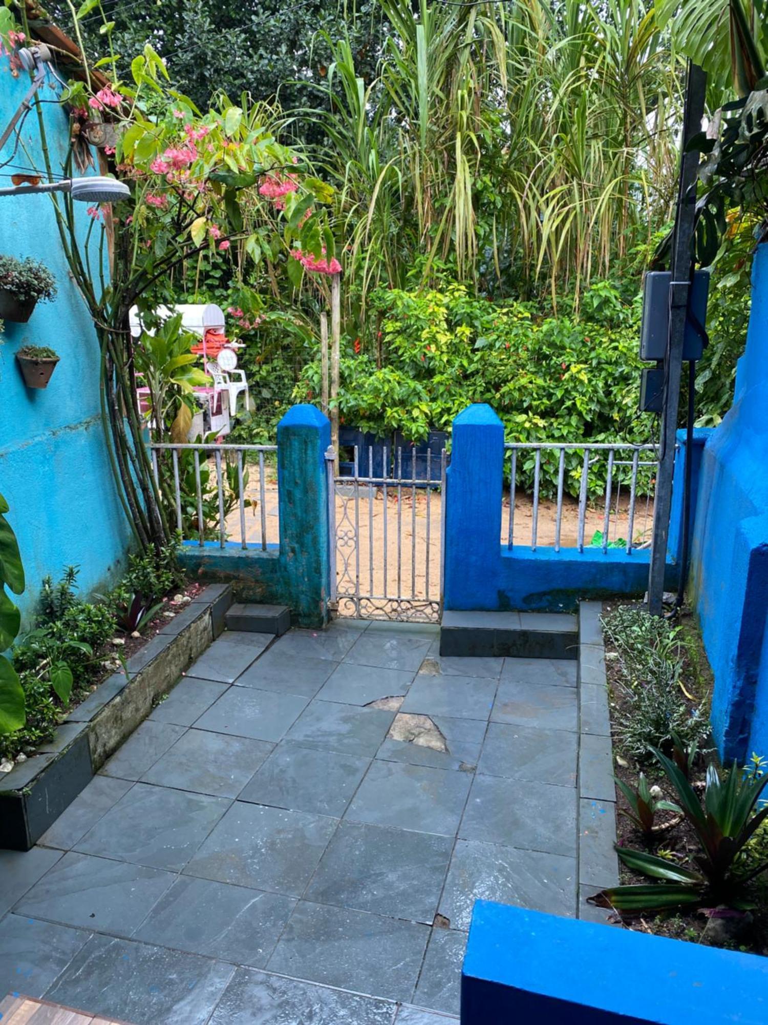 Blue House Conexao *